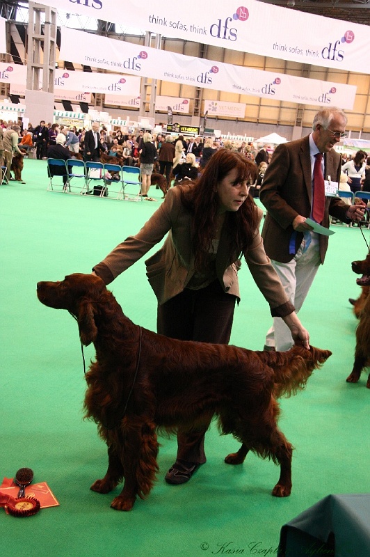 Crufts2011 286.jpg